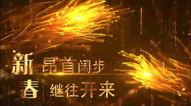 2021041141155849